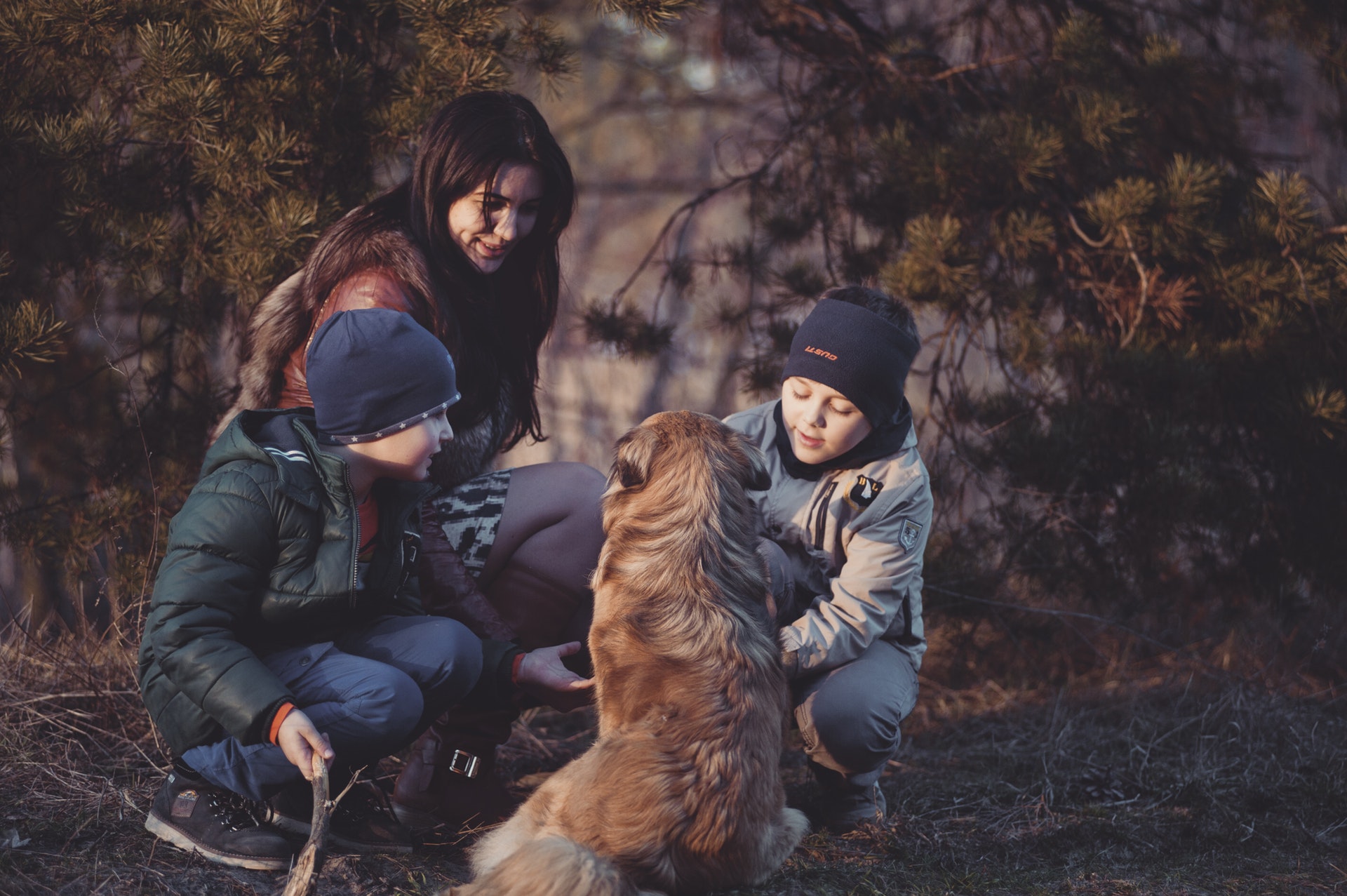 Hunden och hälsan Image